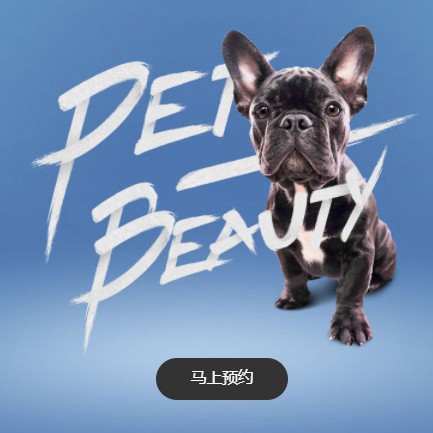 铜梁宠物中心小程序开发