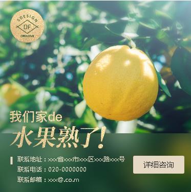 铜梁果园果林小程序开发